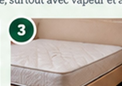 Bag bedding and textiles before moving them; use a hot dryer cycle of at least 30 minutes when fabric care permits.