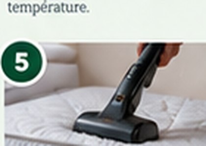Provide access to beds, baseboards and furniture; do not discard mattresses without instructions.