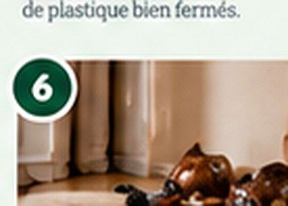 Vacuum areas as directed; seal vacuum waste and dispose of it outside.