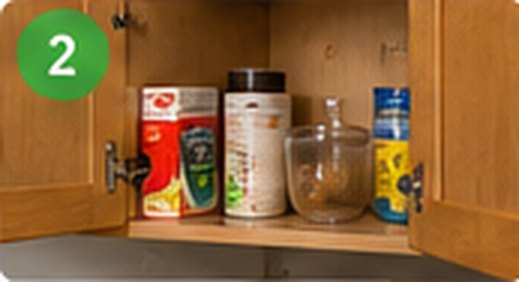 Store food in sealed containers; discard contaminated food and take out garbage.