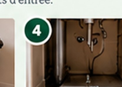 Do not dry-sweep or vacuum droppings; ask for safe cleanup instructions.
